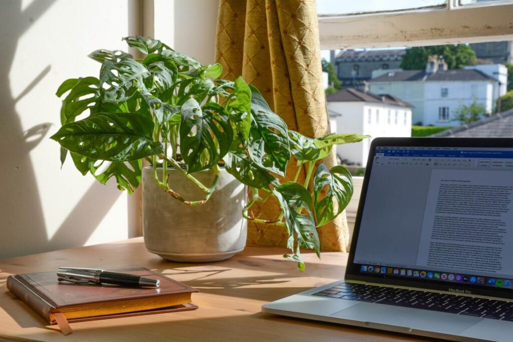 Jenny Jaumann - WordPress Webdesign - Texte schreiben Tipps