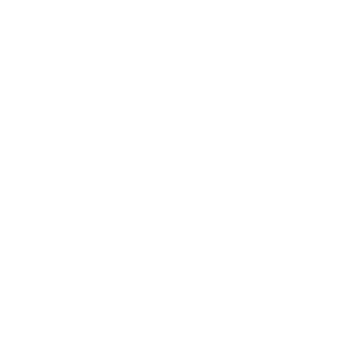 Pagespeed optimieren - Icon